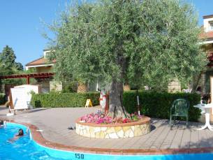 Residence Fontana Barone