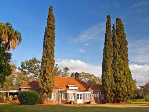 Olifanten, giraffen en Out of Africa