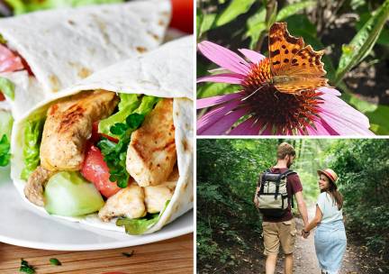 Wandel- of fietsarrangement incl. lunch, warme drank en gebak bij Jorine's Theetuin