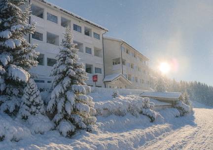 Grifone Dolomiti Resort