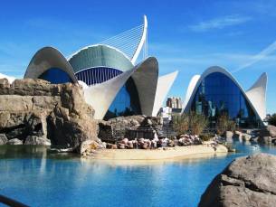Winterzon in Valencia