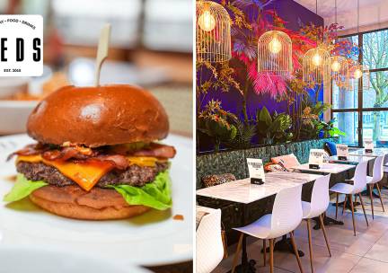 Burger naar keuze + friet bij Teds Breda