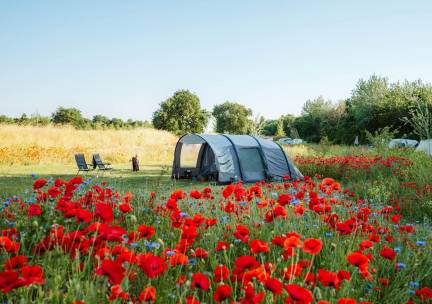 ⛺ Kamperen Comfort