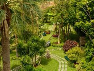 Girassol - Suite Hotel