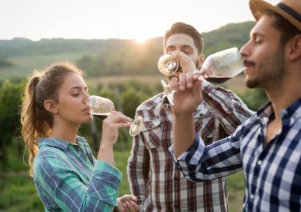 Verblijf in het pittoreske dorp Valwig in een hotel met uitzicht over de Moezel incl. ontbijt, diner, welkomstdrankje, fles prosecco, wijnproeverij en meer!