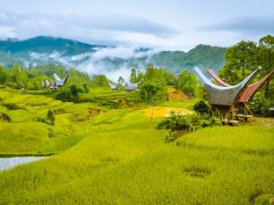 Highlights Sulawesi en Bali