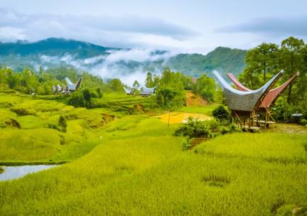 Highlights Sulawesi en Bali