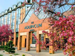 The Aquincum