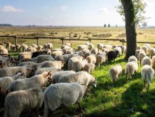 Grenzeloos Slapen-Eten-Beleven