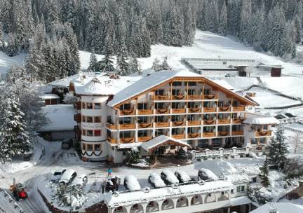 Hotel Cesa Tyrol