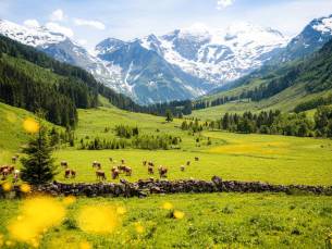 Prachtig hotel met WELLNESS in het betoverende Salzburgerland, Oostenrijk incl. ontbijt, fijne EXTRA'S &eacute;n GRATIS parkeren!
