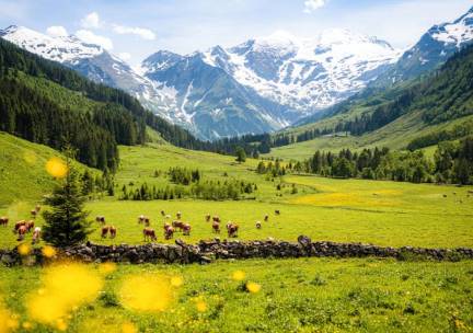 Prachtig hotel met WELLNESS in het betoverende Salzburgerland, Oostenrijk incl. ontbijt, fijne EXTRA'S &eacute;n GRATIS parkeren!