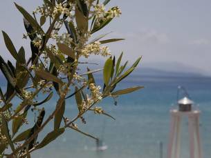 Aparthotel Grand Nefeli