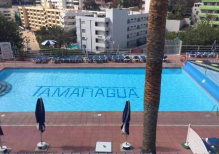 Tamaragua