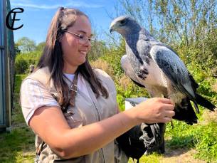 Entree Falconcrest Eindhoven