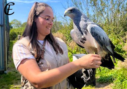 Entree Falconcrest Eindhoven