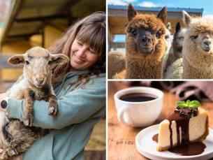 Meet and feed + drankje + gebak of lekkernij voor kinderen