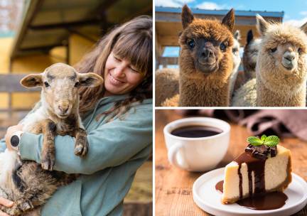 Meet and feed + drankje + gebak of lekkernij voor kinderen