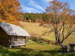 Verblijf in de prachtige natuur van het Zwarte Woud incl. ontbijt, 3-gangendiner, een Schwarzwälder Kirschtorte + konus card voor kortingen!