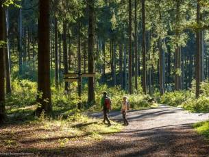MEGADEAL! ???? 4-, 6- of 8-daagse vakantie naar Sauerland nabij Winterberg incl. ontbijt, ijsje & GRATIS gebruik van het OV!