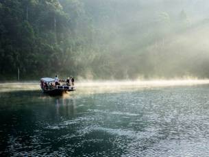 Jungle en Stranden van Thailand