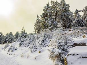 ⚡ SUPER LAST MINUTE! ⚡ Geniet van een 3-daags all-inclusive verblijf in het hart van Saksen incl. welkomstgeschenk + wellness!