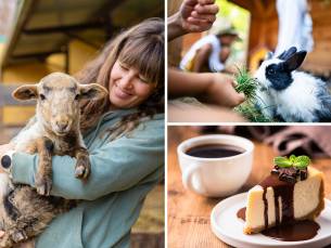 Meet and feed + drankje + gebak of lekkernij voor kinderen