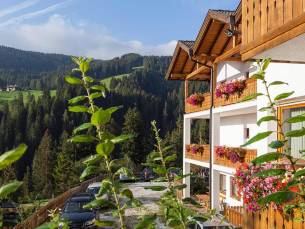 Alpenspitz