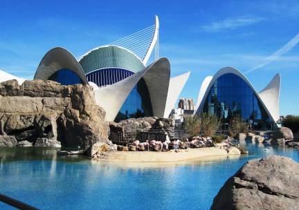Winterzon in Valencia