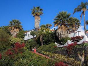 La Palma Jardin