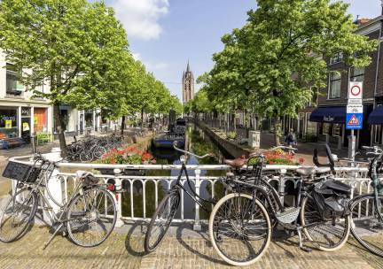Fietscruise Zuid-Holland en omgeving