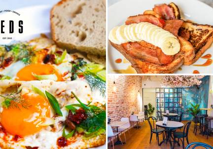 Brunch- of lunchgerecht naar keuze bij Teds Utrecht Stadhuisplein