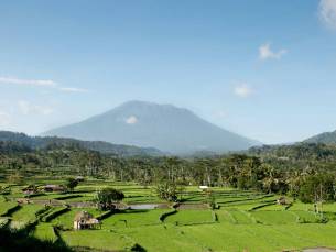 Bijzonder Bali