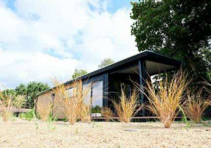 Zand Lodge voor 4 personen in Voorthuizen Veluwe