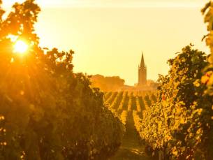 4*-hotel in het prachtige Bordeaux incl. vlucht