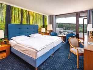 AHORN Harz Braunlage