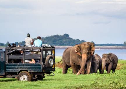 Grand Tour Sri Lanka