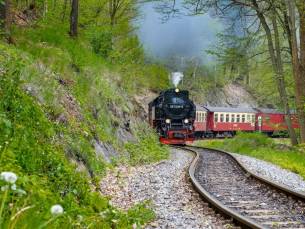 Verken de prachtige natuur van Thüringen met een verblijf in Nordhausen nabij Harz incl. ontbijt en 1x pizza!