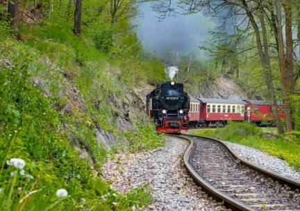 Verken de prachtige natuur van Thüringen met een verblijf in Nordhausen nabij Harz incl. ontbijt en 1x pizza!