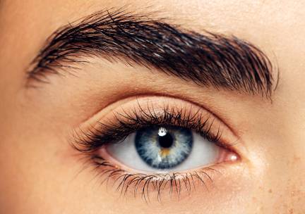 Wenkbrauw- of wimperbehandeling naar keuze