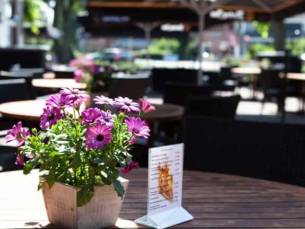 De Oringer Marke & Stee Hotels by Flow