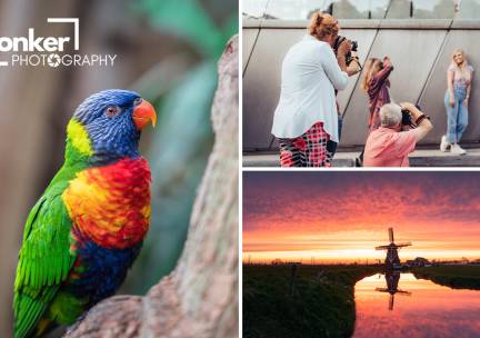 (Online) basiscursus fotografie (3,5 uur) of entree voor The PixelExperience