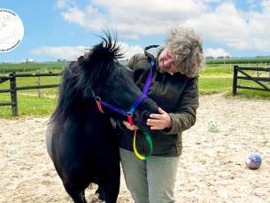 Paardencoaching (60 min)