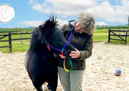 Paardencoaching (60 min)