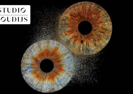 Iris-fotoshoot voor 1 persoon + digitale foto