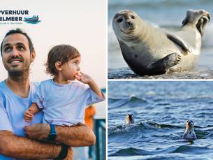 Zeehondenexcursie vanaf het water (2 uur)