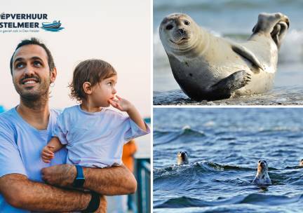 Zeehondenexcursie vanaf het water (2 uur)
