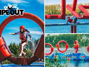 Wipe – Out(3 uur)