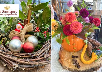 Workshop herfst-, winter- of kerststuk maken (3 uur) + hapjes en drankjes