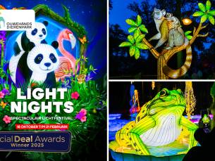 Entree Light Nights of entree dierenpark + Light Nights (1 pers.) bij Ouwehands Dierenpark